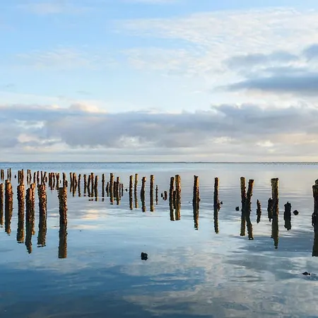 Lovely In With Wifi *